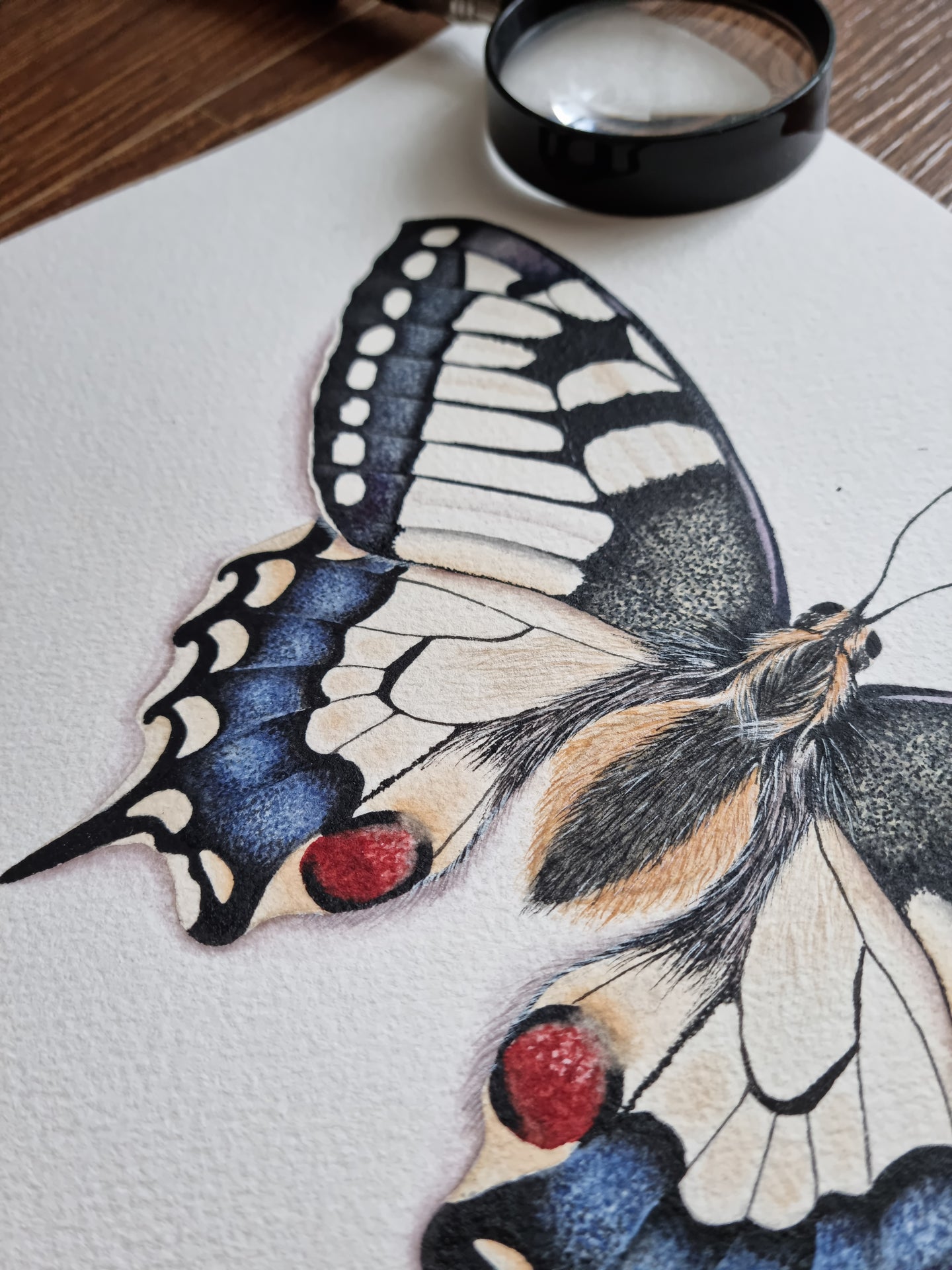 Swallowtail Butterfly - Original Artwork